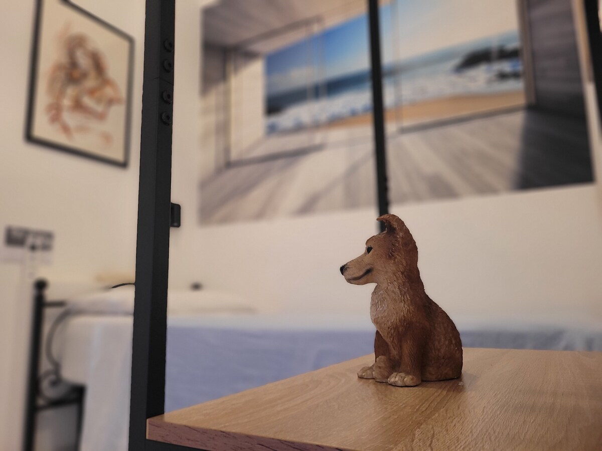Camera del Cagnolino, singola con bagno